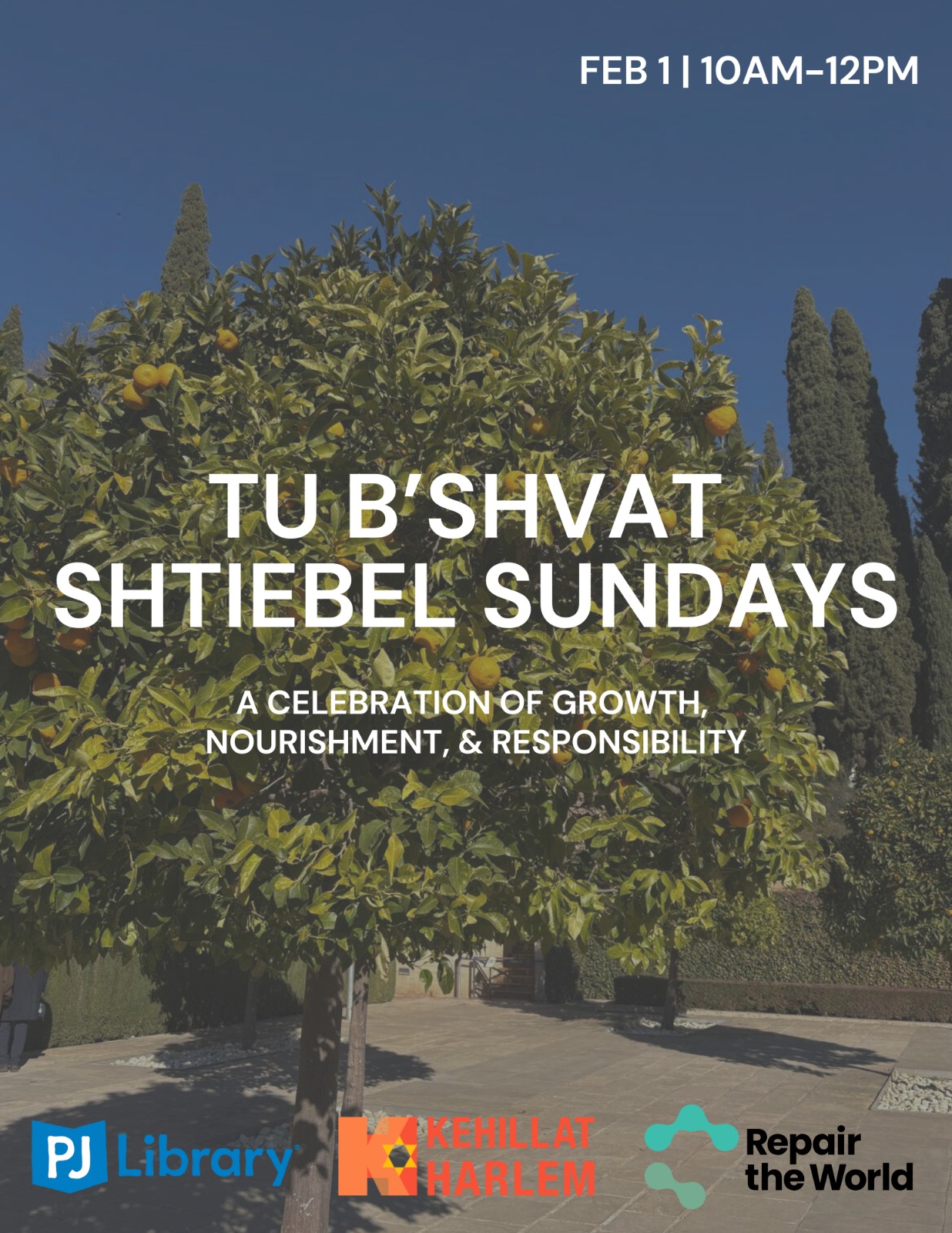Tu B'Shvat Shtiebel Sundays