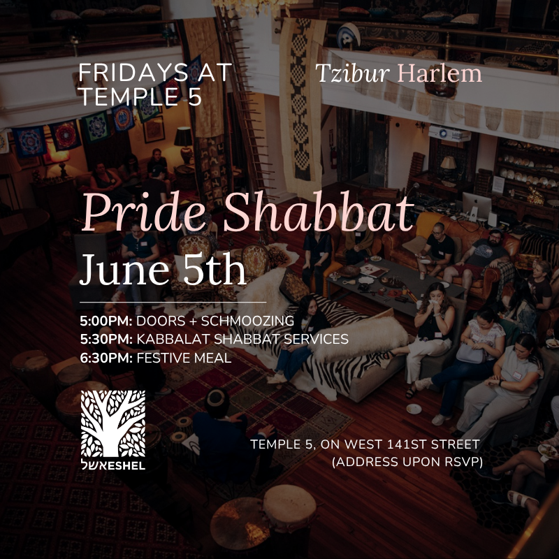 Tzibur: Shabbat at Temple 5