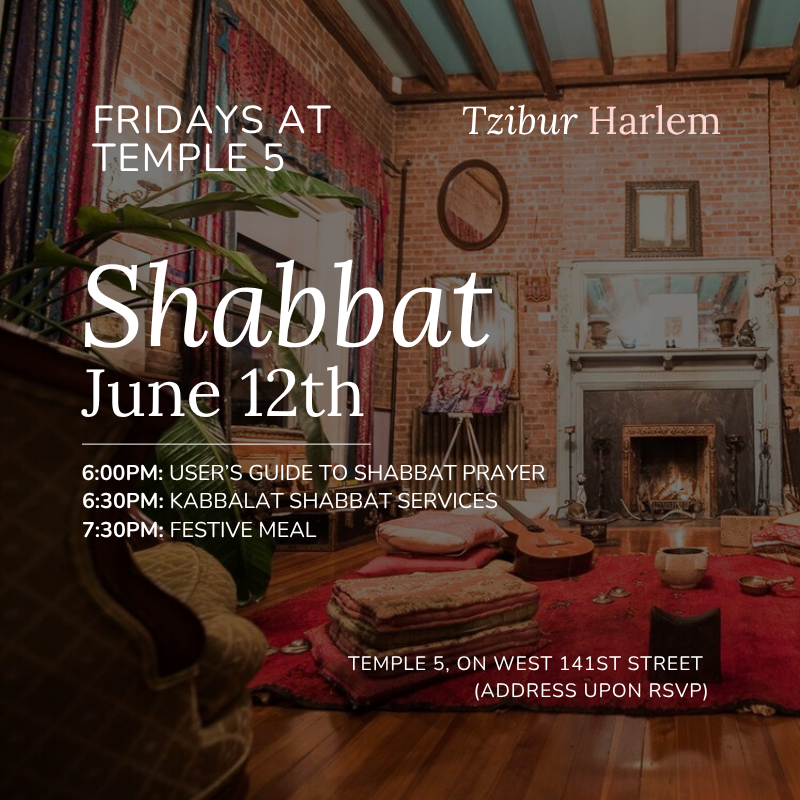 Tzibur: Shabbat at Temple 5